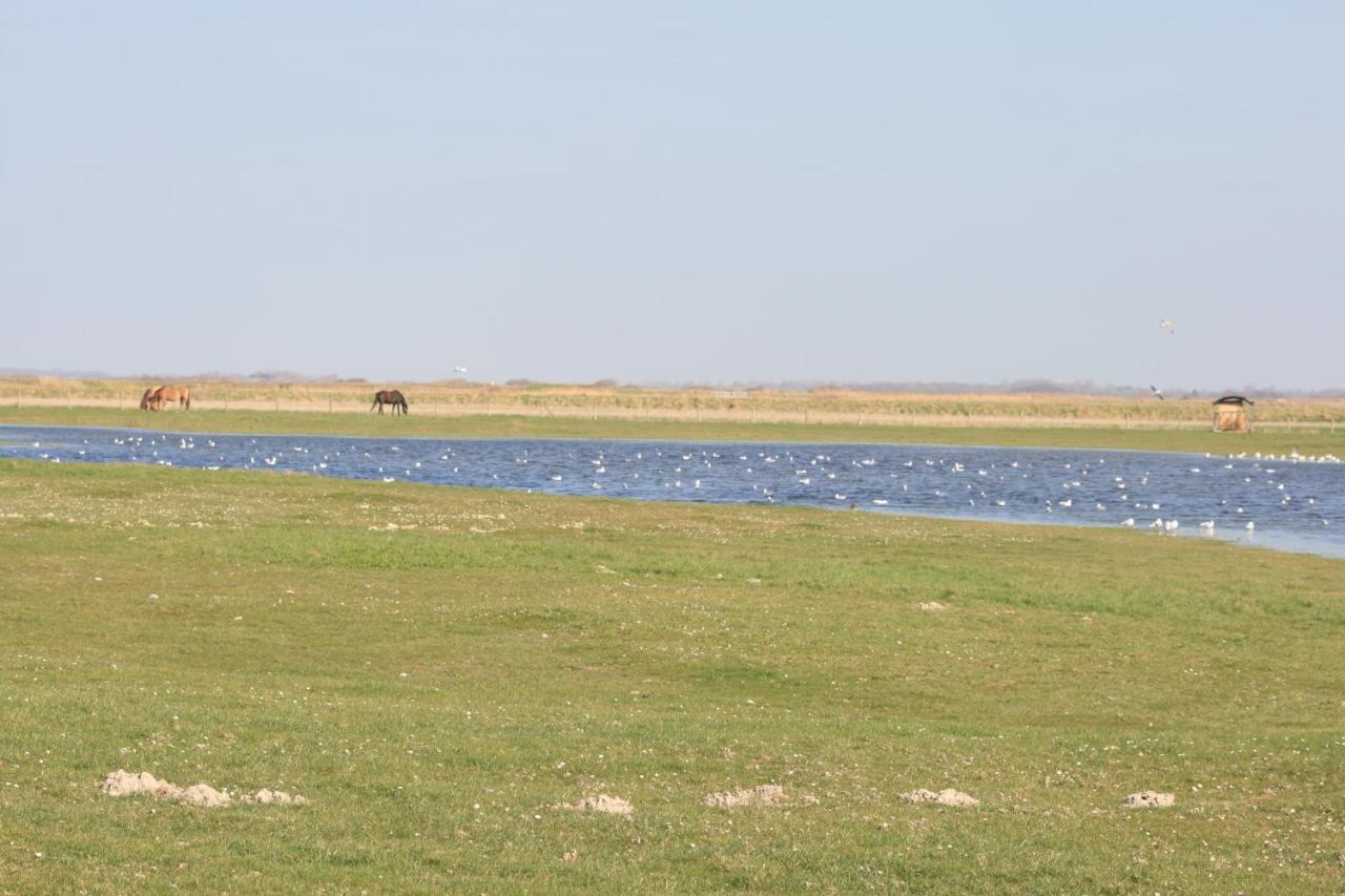 אולט A Cote De La Mer מראה חיצוני תמונה